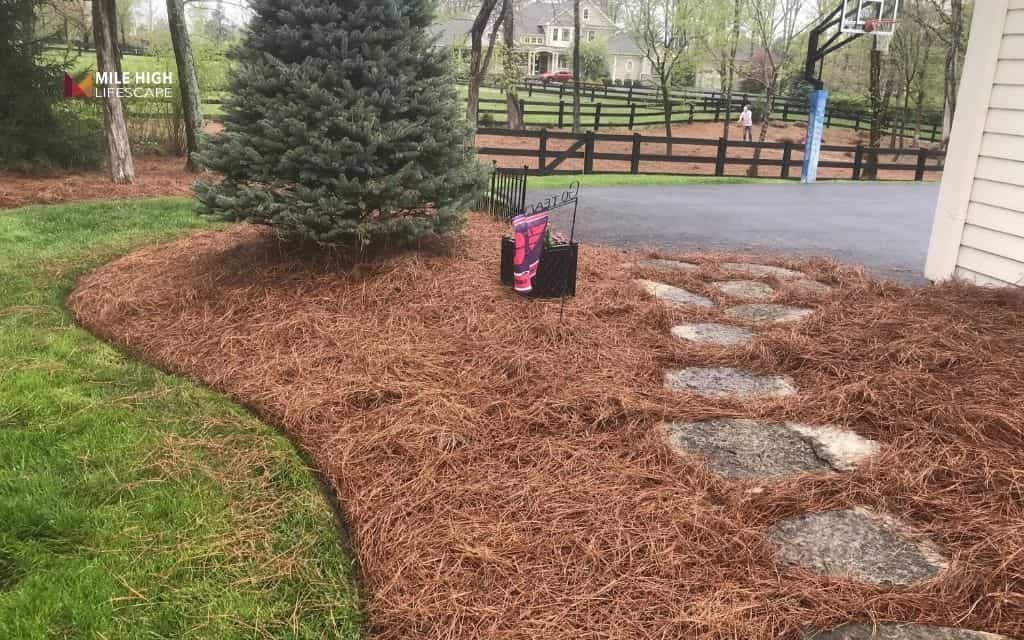 What is pine straw mulch?