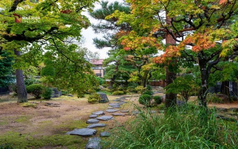 11 Japanese rock garden ideas that need minimal care
