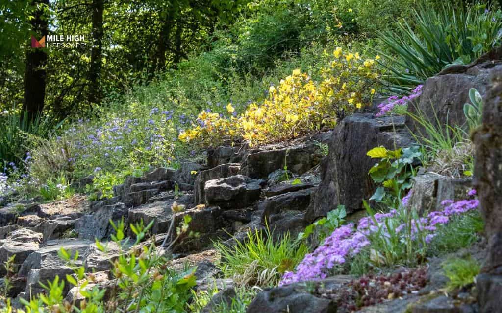 12 hillside rock garden ideas in Denver: Build a stunning slope