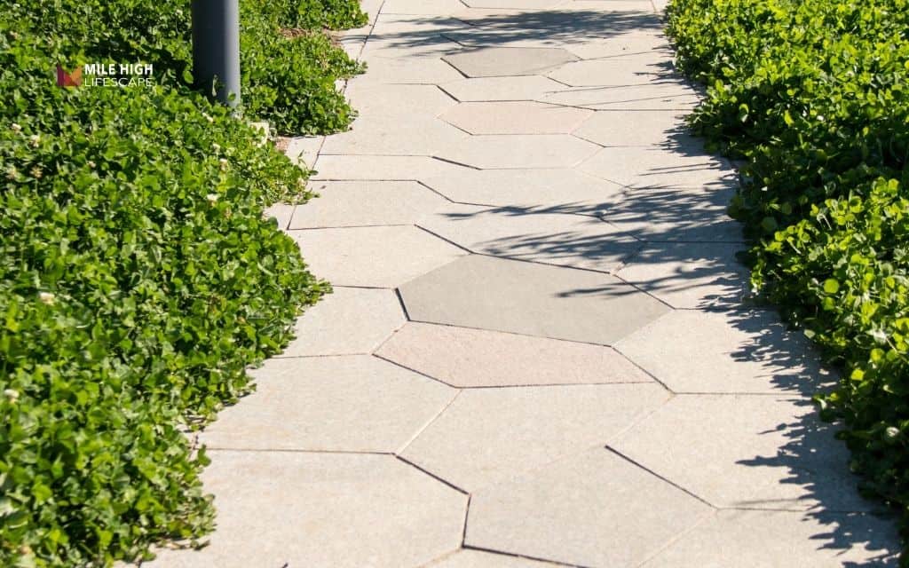 15 flagstone landscaping ideas that thrive in Denver, CO