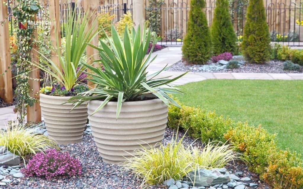 18 ideas to transform your front yard with pots & rocks