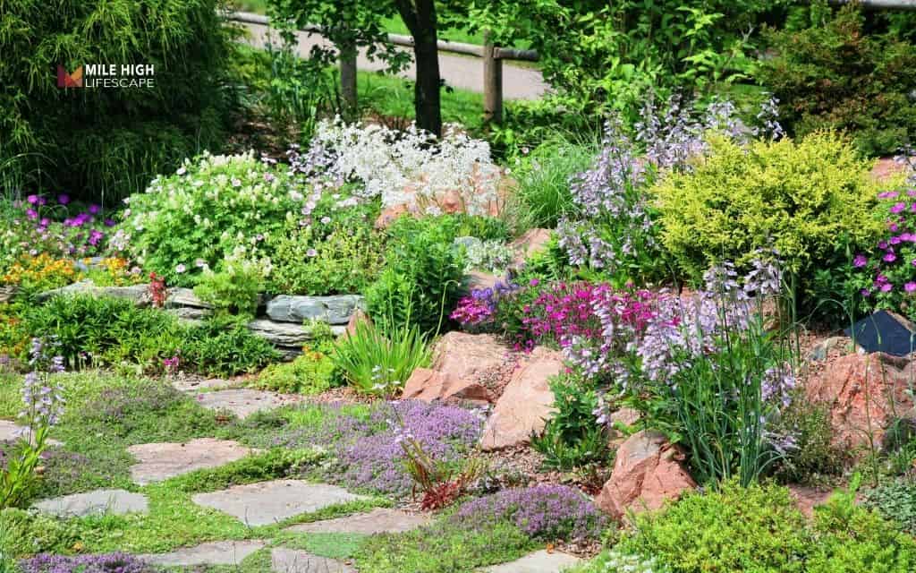 30 rock garden plants that actually thrive in Denver's harsh climate