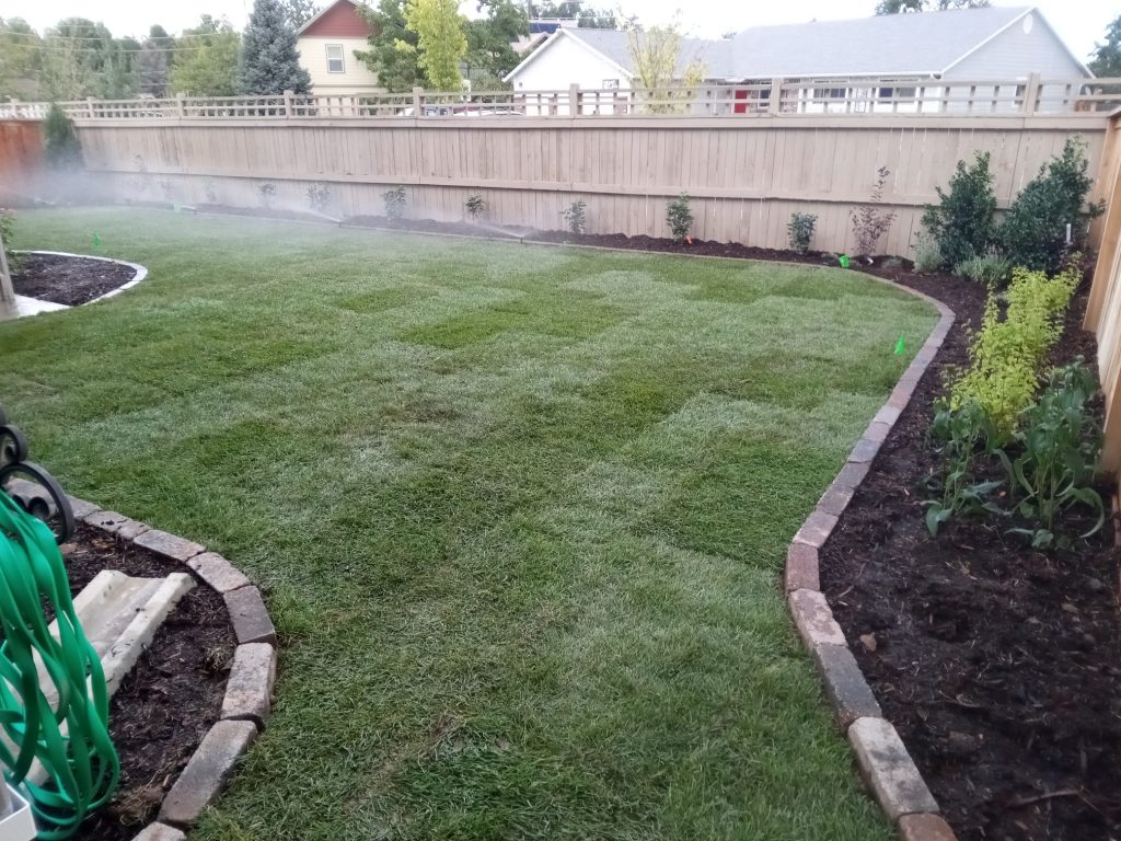 Lawn Sod Installation