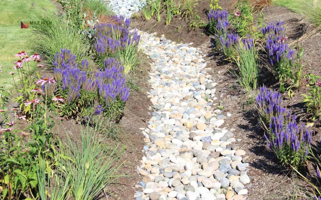 7 river rock drainage ideas denver gardens love