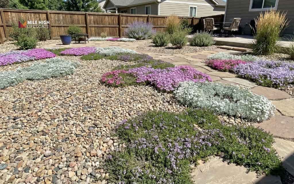 Backyard ideas with rocks and groundcovers