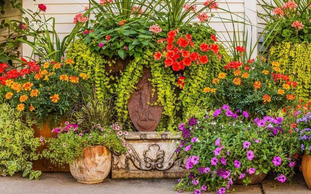 Container garden front yard replacing a strip of lawn