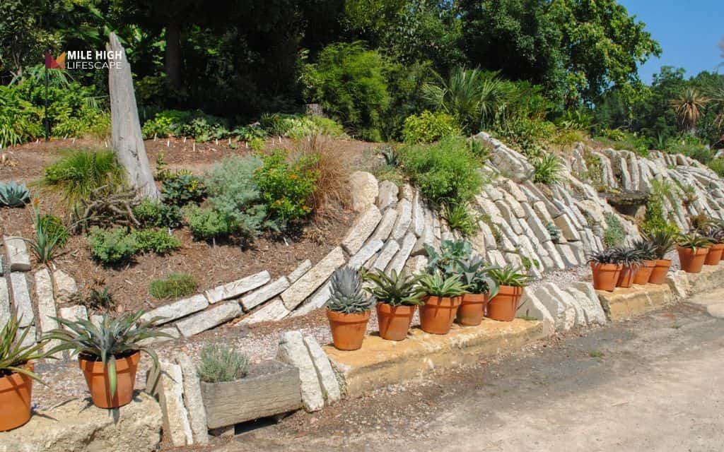 Crevice rock garden on a slope