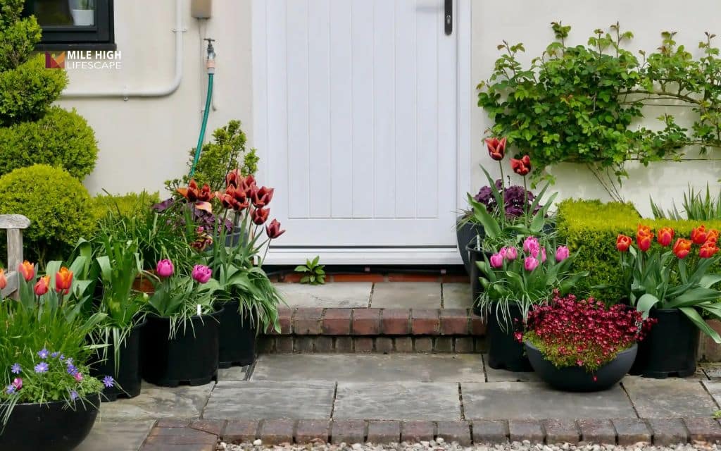 Flower pots in front of house along walkways