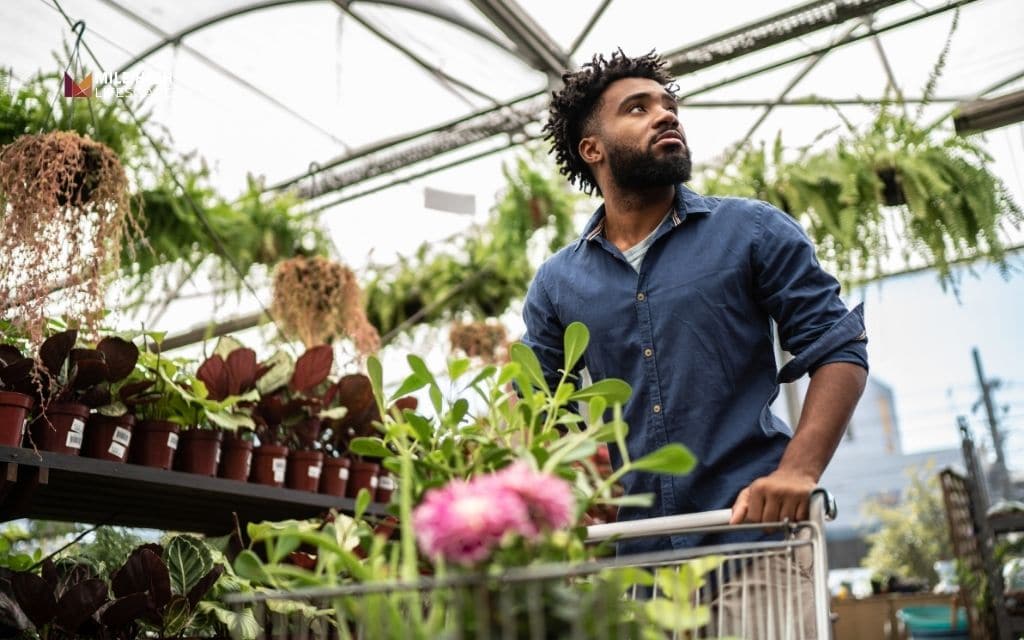 How to choose rock garden plants for Denver