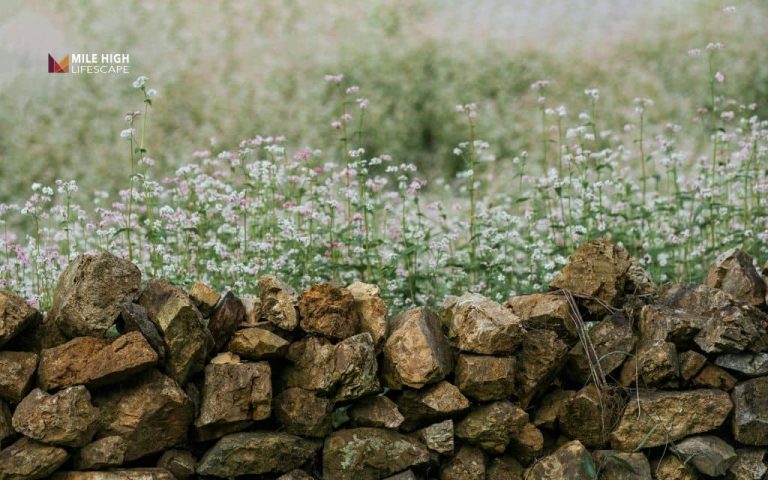 How to lay a stone wall: Denver homeowner's complete guide