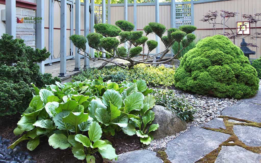 Japanese courtyard garden