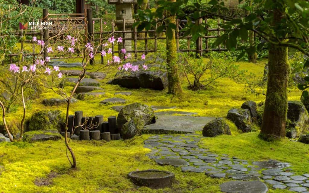 Japanese garden with moss alternatives