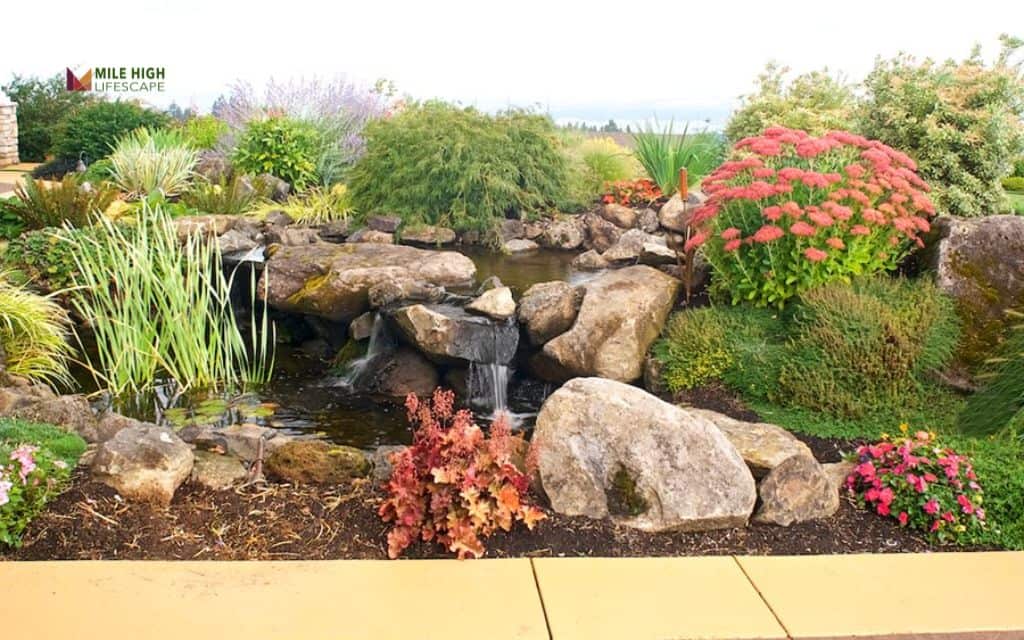 Large hillside with mixed rock and plant zones
