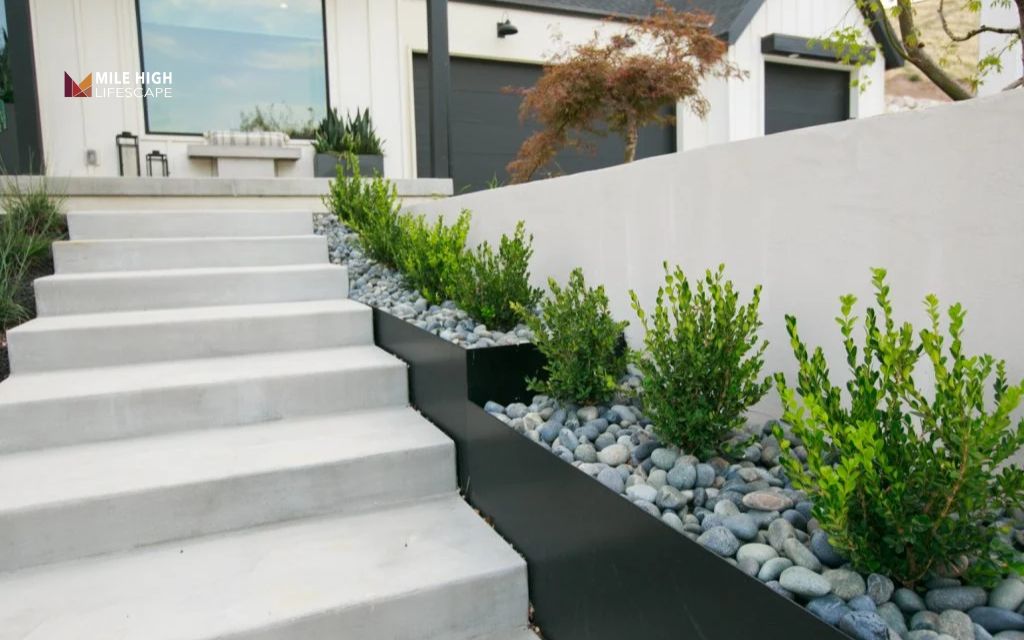Modern rock garden with clean lines