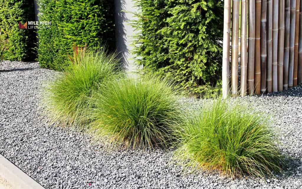 Pea gravel landscaping: Denver's complete 2026 guide