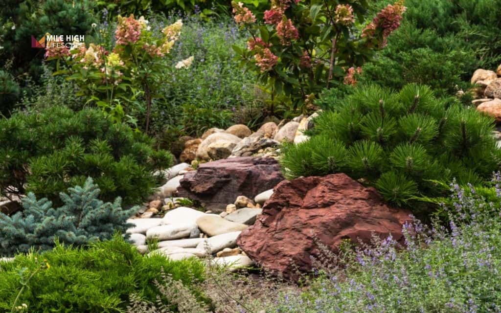 Pollinator-friendly hillside rock garden