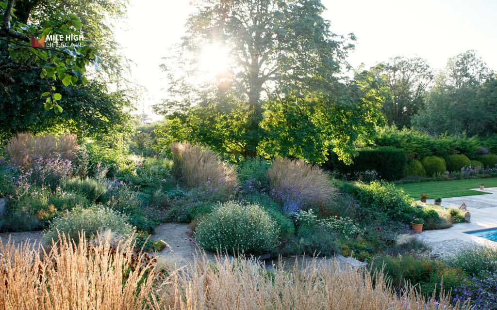 Sloped front yard rock garden