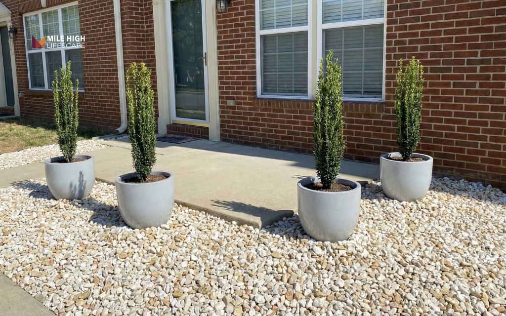 Small front yard container garden for townhomes