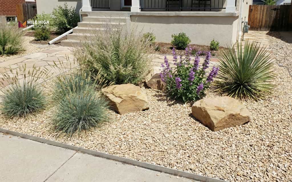 landscape with small rocks - Small front yard rock garden with native plants