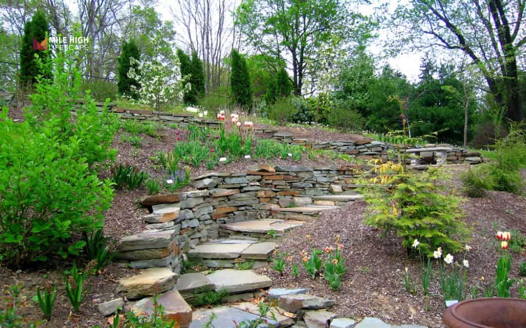 Terraced hillside with rocks and native plants