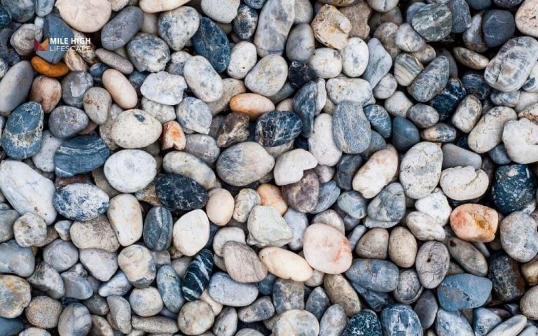 What is river rock and should you use it in your yard in Denver?