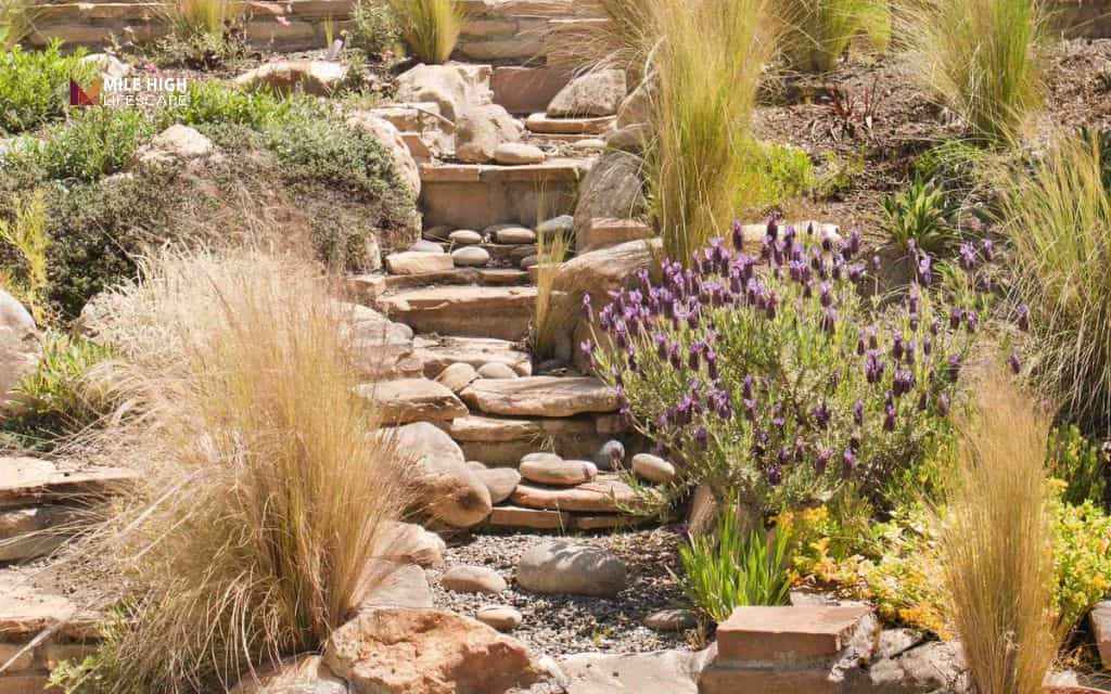 Xeriscape hillside rock garden