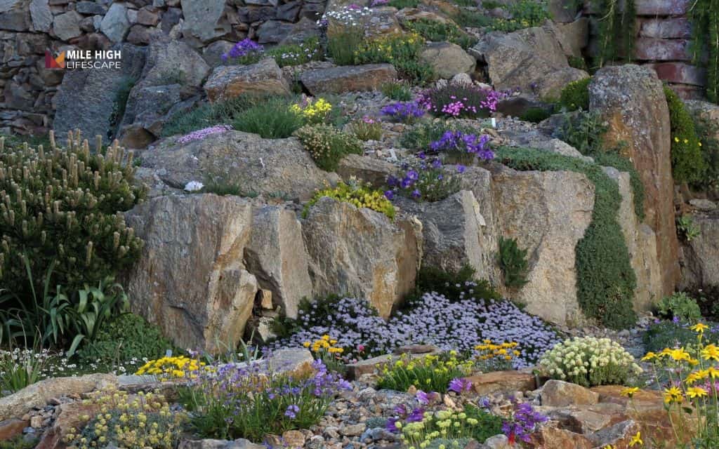 Boulders integrated with native plants