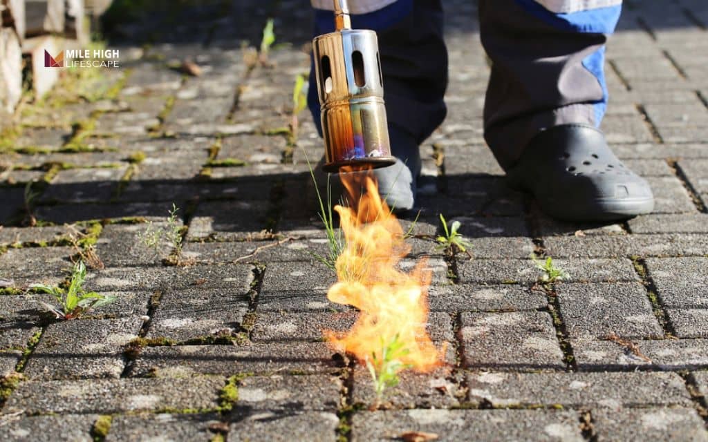 Consider flame weeding for gravel areas