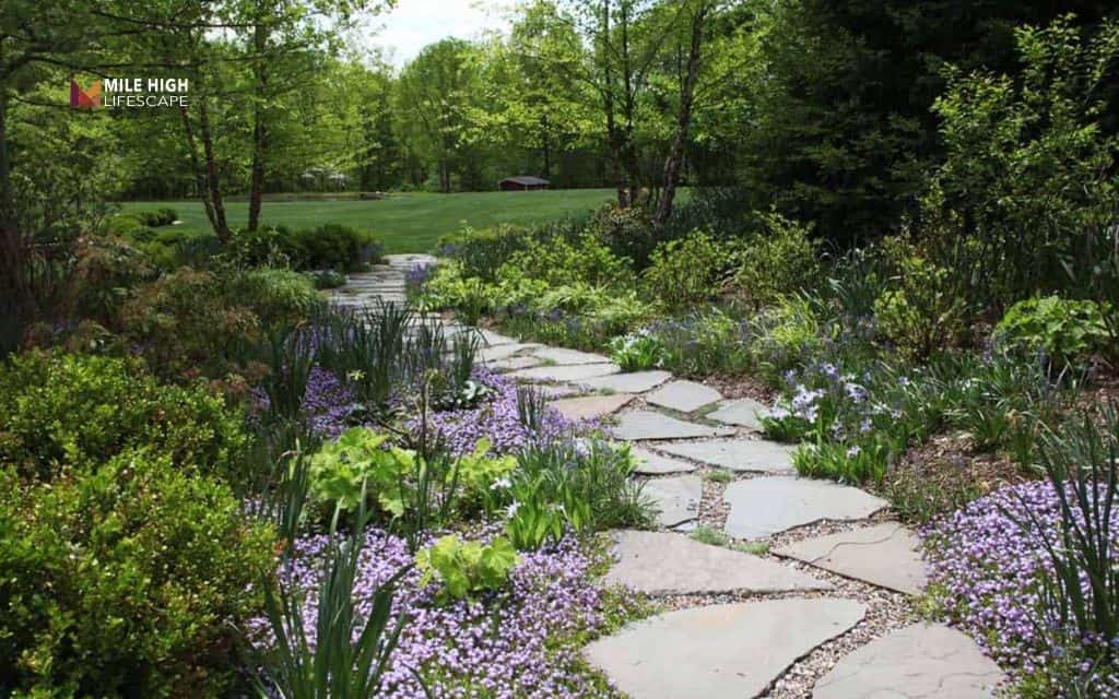 Crushed stone garden path