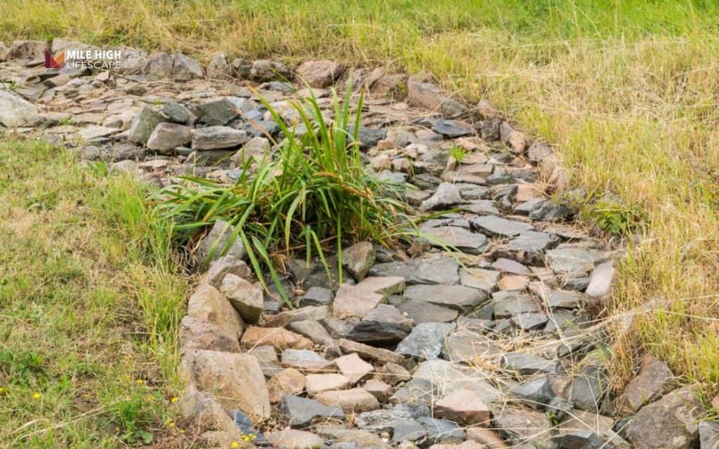 Dry creek bed with flat stones