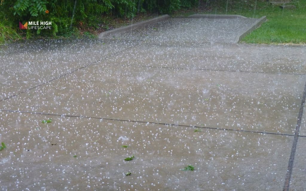 Factors that might affect the timing of the last mow