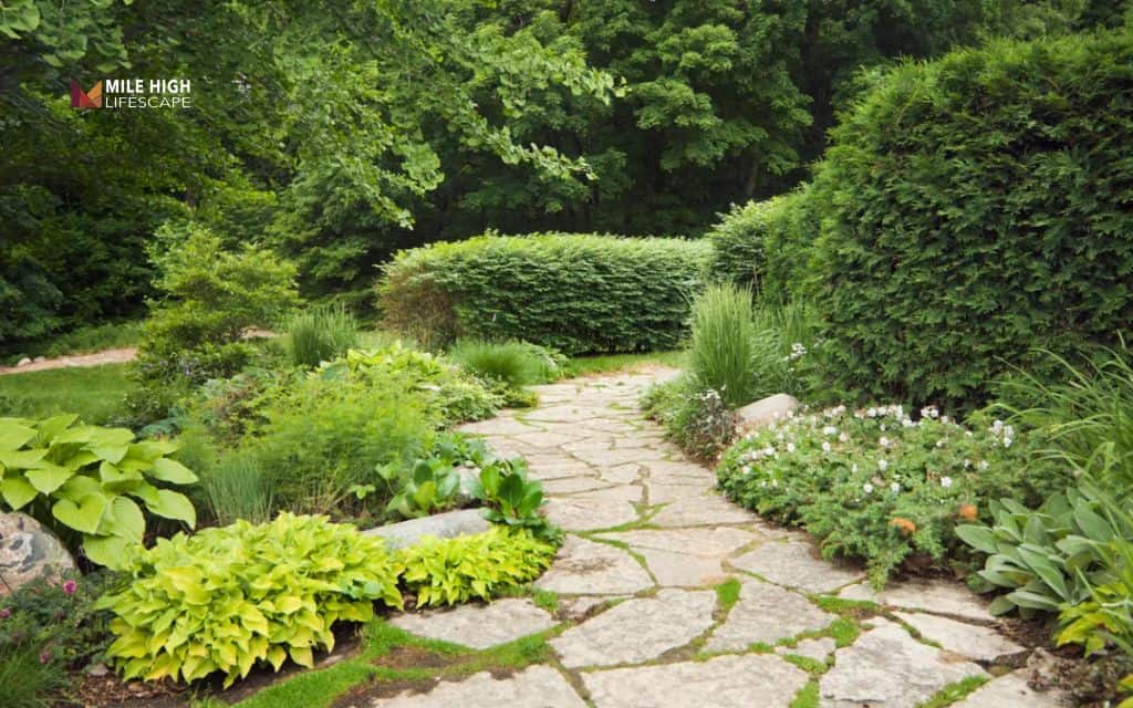 ideas for stone pathways: Natural woodland stone path