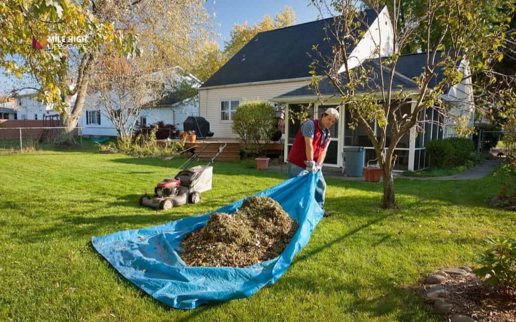 Remove organic debris regularly