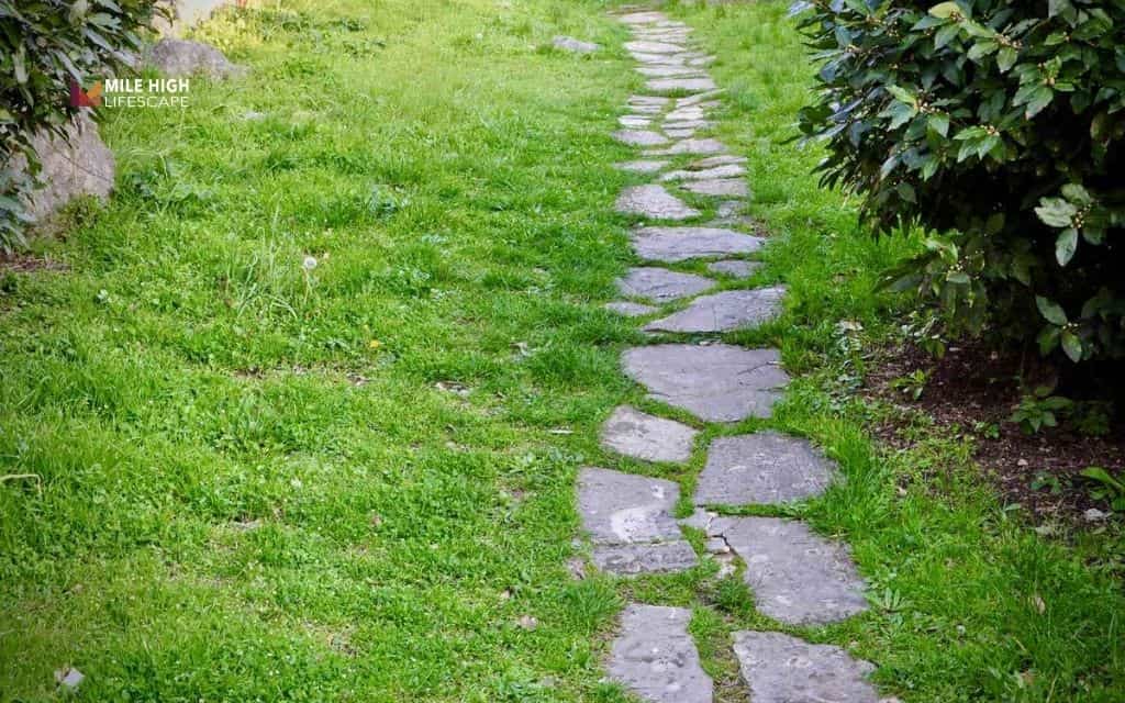 landscaping with flat rocks: Stepping stone path in grass