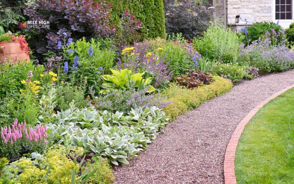 Stone path with brick edging