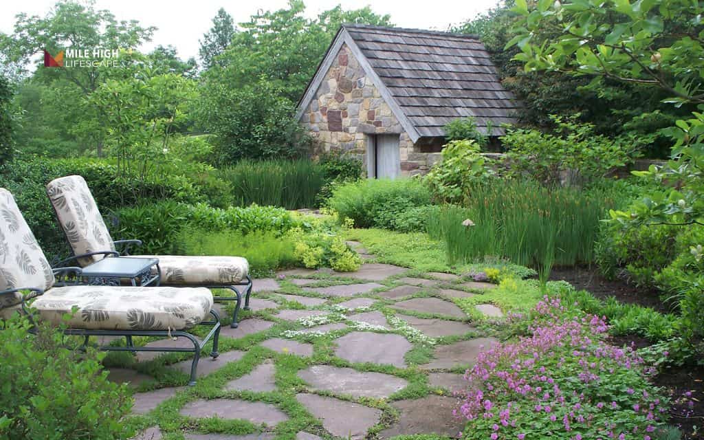 Stone path with groundcover fill