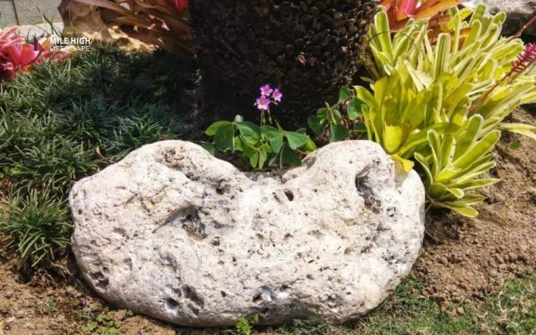 The complete homeowner's guide to coral stone: Beauty, function & long-term care