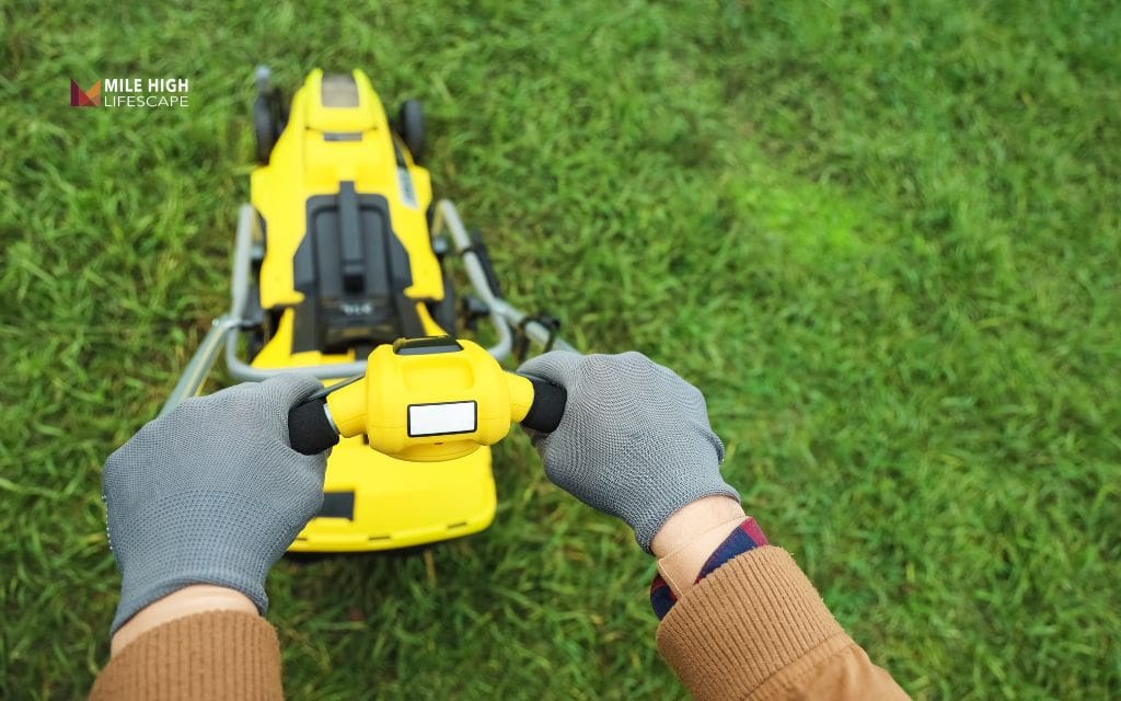 The final 2 - 4 mows strategy