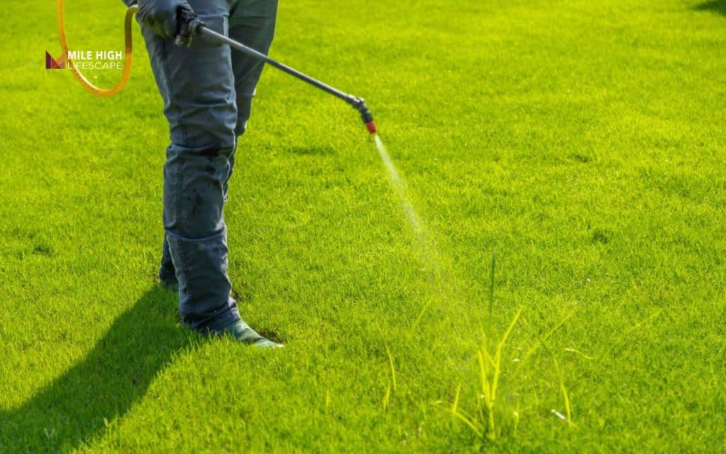 Use spot treatment weed killers carefully