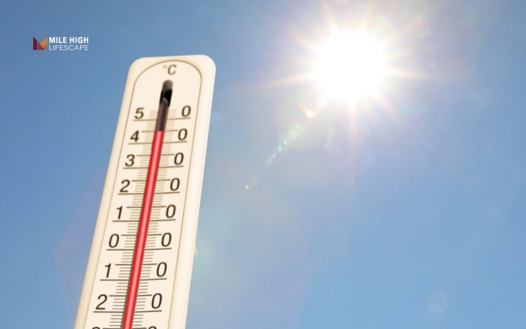 When should you stop mowing your lawn before winter? The best lawn guide you’ll need