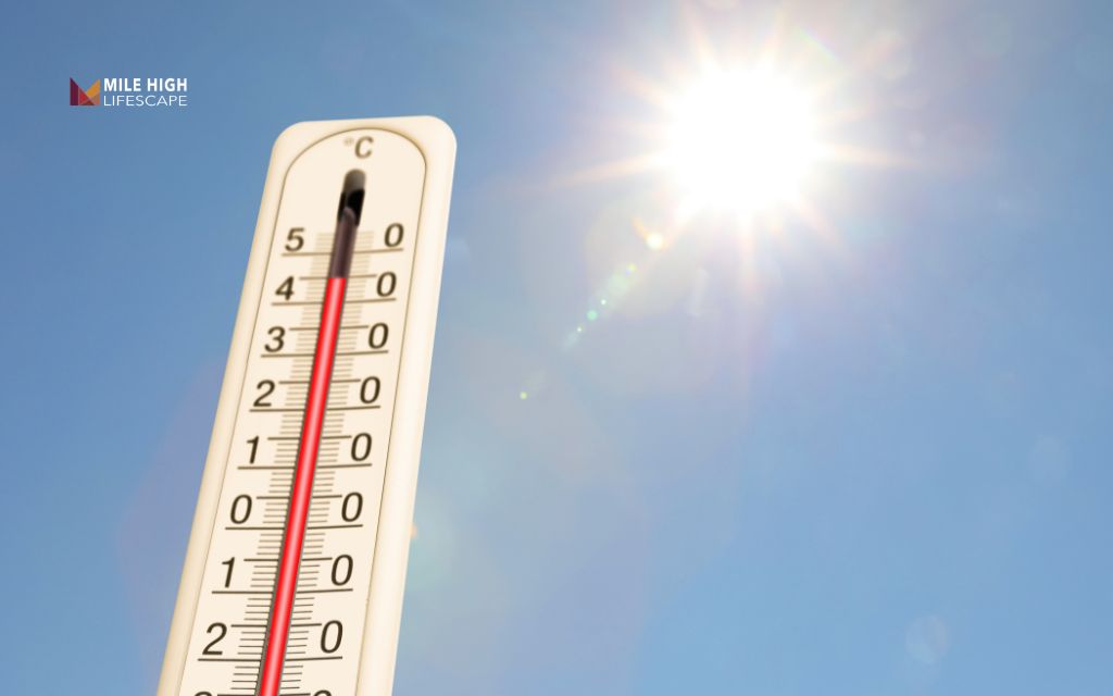 When should you stop mowing your lawn before winter? The best lawn guide you’ll need