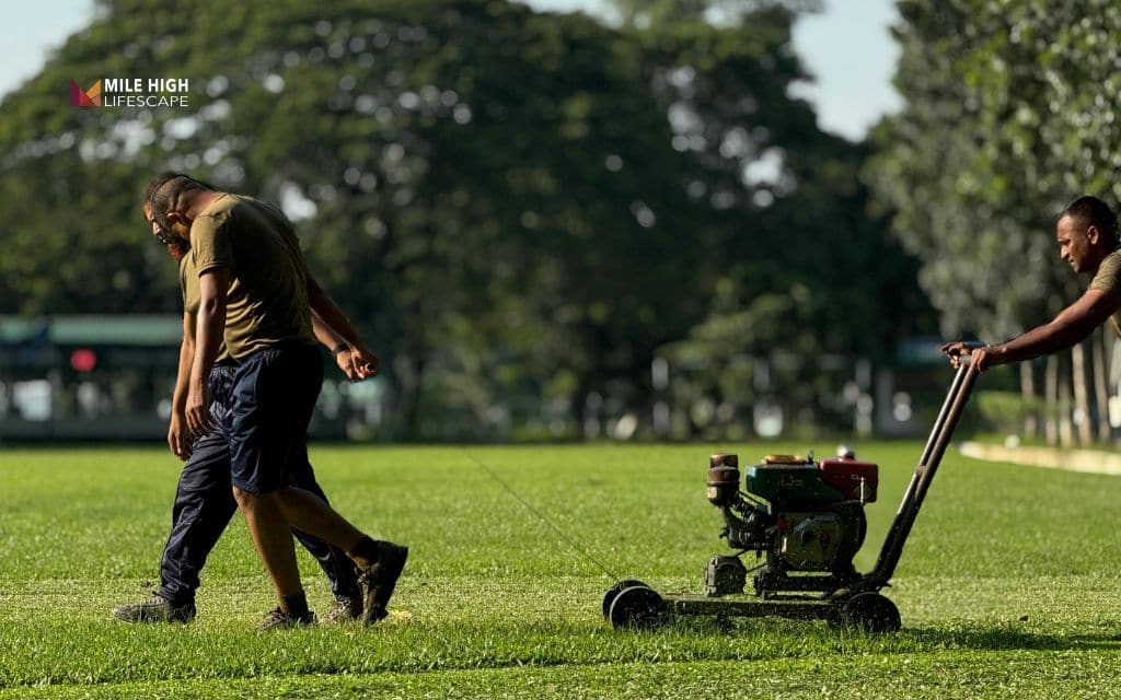 When should you stop mowing your lawn before winter?