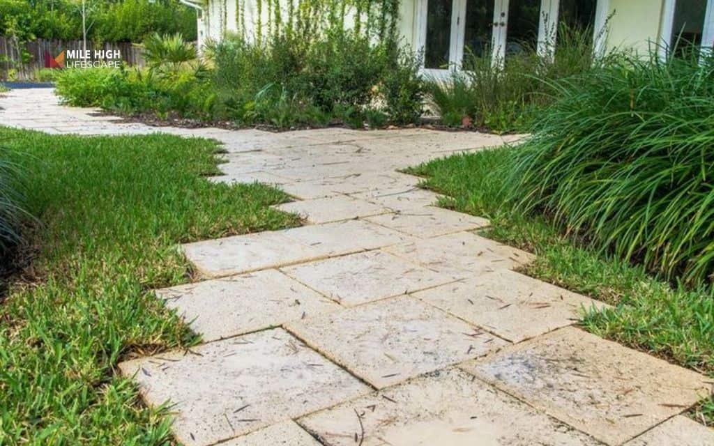 Where coral stone works best in garden design