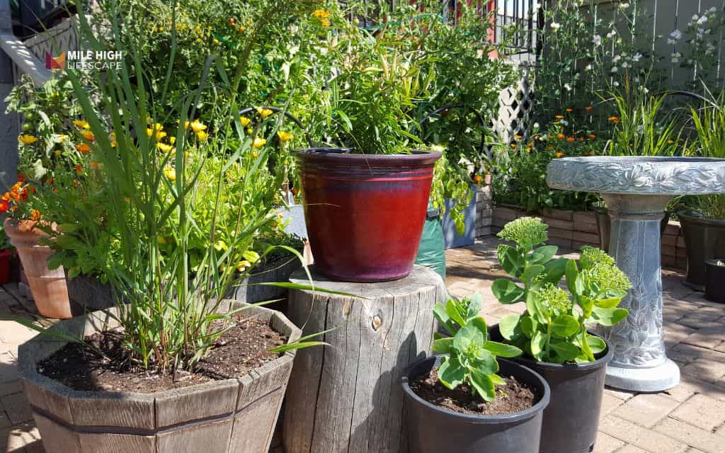 small yard landscape design: Add container gardens