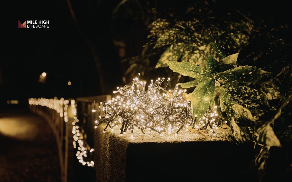 small yard landscape design: Install landscape lighting