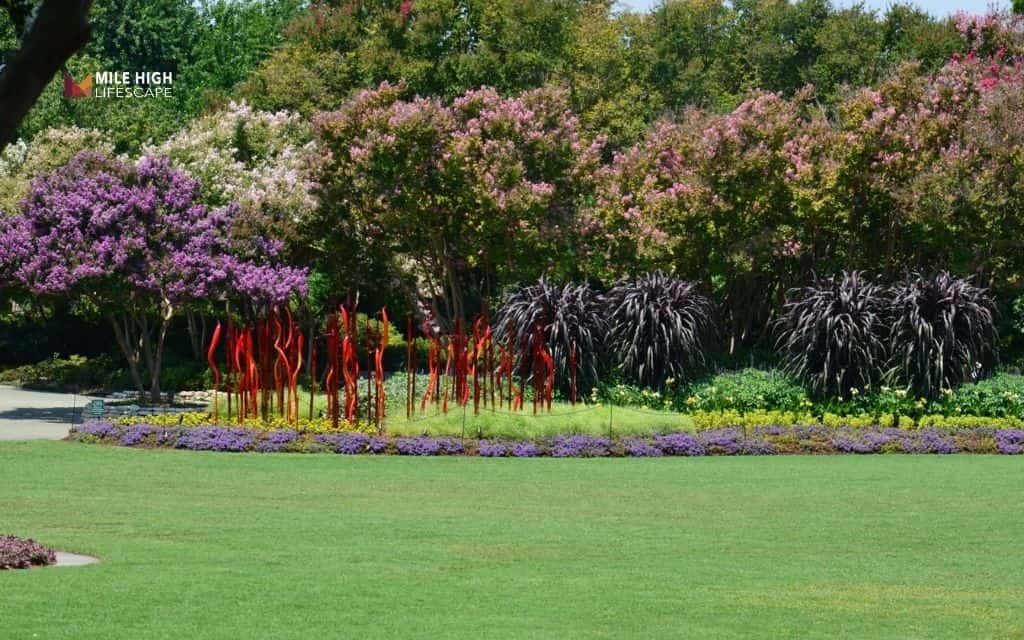 crepe myrtle landscape uses: Mixed garden beds with crepe myrtle