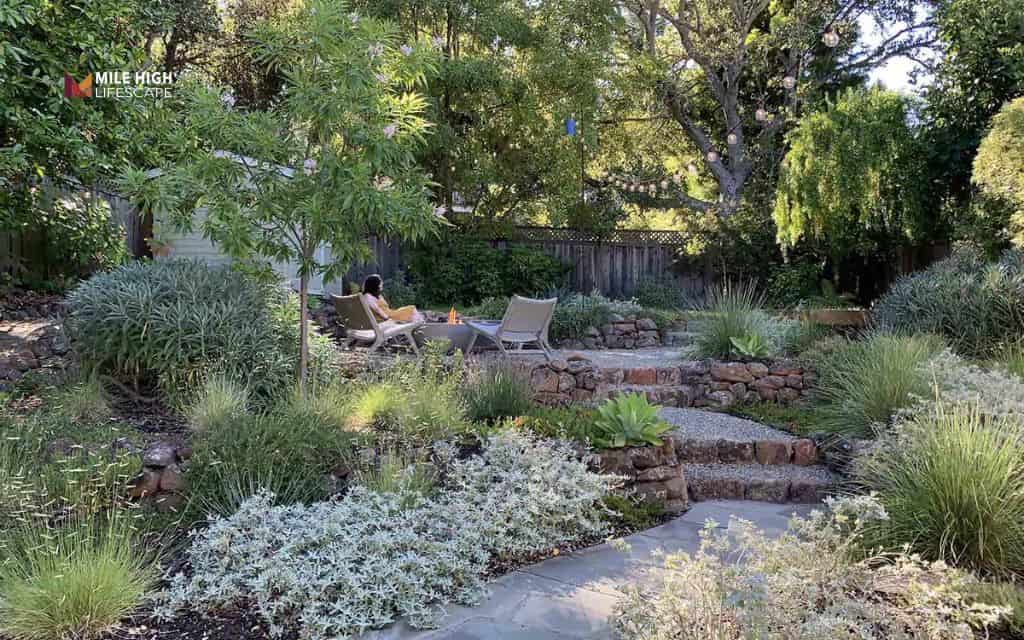 13 easy drought resistant landscape ideas that save water