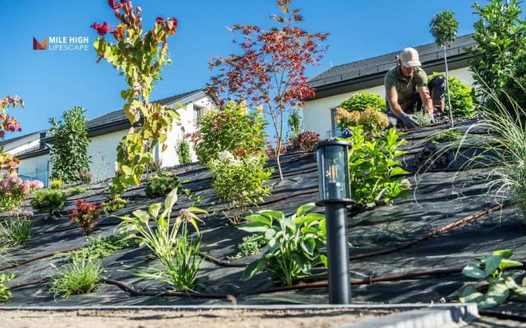 15 hill landscape ideas that turn a sloped yard into a stunning garden