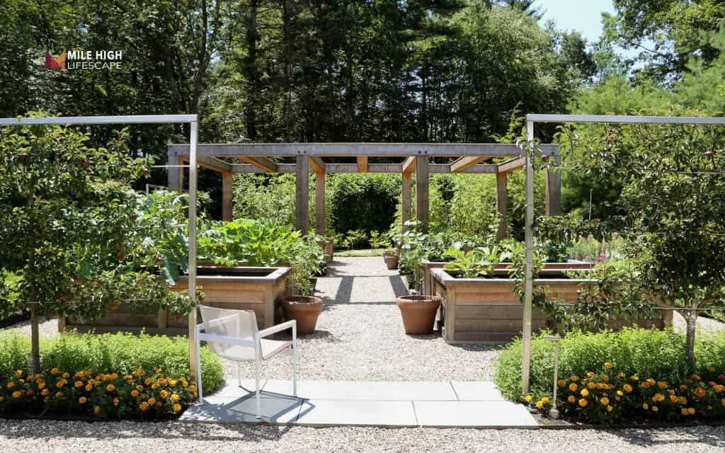 27 small backyard landscape ideas