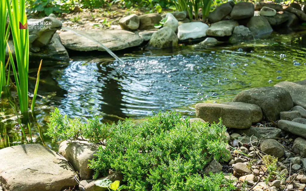 Large backyard landscaping ideas: Add a water feature (pond, fountain, stream)